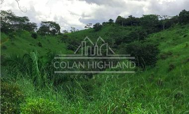 Se Vende Finca en Mogollón, Macaracas, Los Santos 