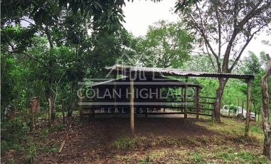 Se Vende Finca en Mogollón, Macaracas, Los Santos 