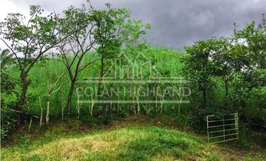 Se Vende Finca en Mogollón, Macaracas, Los Santos 