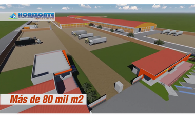 PROYECTO - ALMACENES 1,250M2, 2,500M2 Y 5,000M2