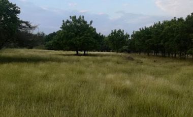 lote en venta en vereda guabinal. Cod V9151