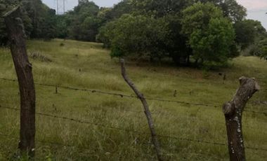 lote en venta en vereda guabinal. Cod V9151