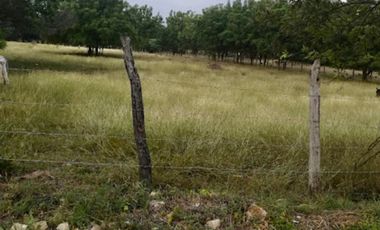 lote en venta en vereda guabinal. Cod V9151