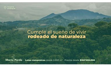 Lote en venta, Cocorná, Los Cedros