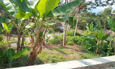 226 M2 Tanah 2 Muka Jalan Untuk Usaha di Ngamprah, Bandung Barat