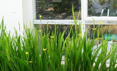 perumahan cluster salatiga olx termurah dan ternyaman di jawa tengah