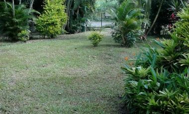 finca en venta en vereda bocas del palo. Cod V2272