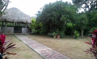finca en venta en vereda bocas del palo. Cod V2272