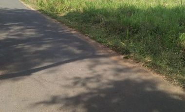 Tanah di jalan Dlanggu Mojokerto