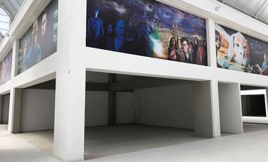 ARRIENDO de LOCALES en EL ROSAL