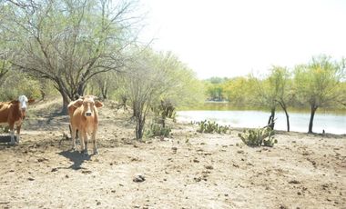 Terreno en venta en San Carlos Tamaulipas