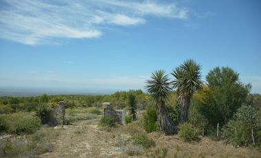 Terreno en venta en San Carlos Tamaulipas