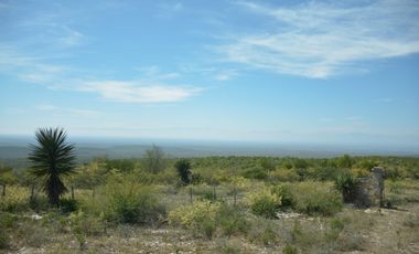 Terreno en venta en San Carlos Tamaulipas