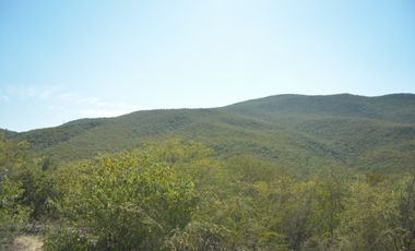 Terreno en venta en San Carlos Tamaulipas