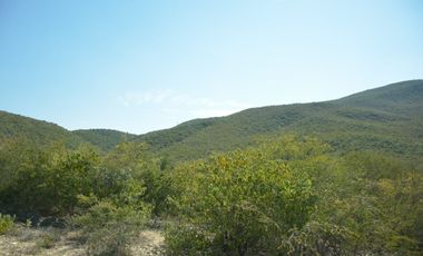 Terreno en venta en San Carlos Tamaulipas
