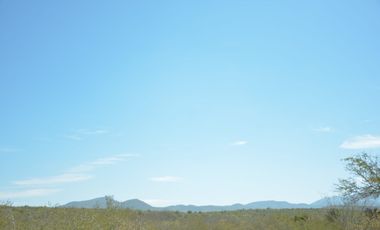 Terreno en venta en San Carlos Tamaulipas