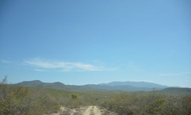 Terreno en venta en San Carlos Tamaulipas