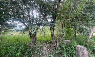 lote en venta en corregimiento la garita. Cod V103733