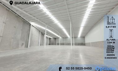 Rent of industrial property in Guadalajara
