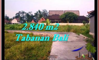 2.840 m2 View sawah Rp 3,2 jt/m di Tabanan Tanah Lot