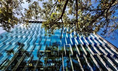 Oficina en Arriendo en Edificio Ombú/ Av Andrés Bello