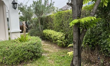 3 Bedroom House for sale at Villaggio Sansai Chiangmai