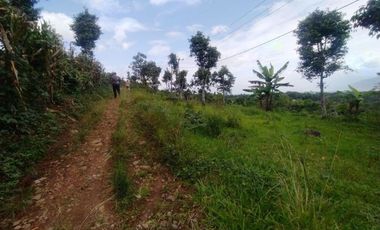 Tanah 60 Jutaan Luas 112 m2 Cicalengka Bandung Bisa Dicicil