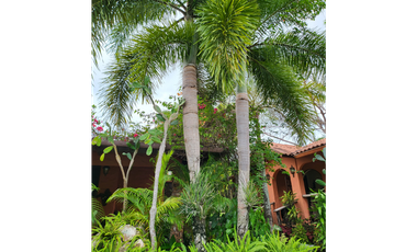 Se vende casa con plantación, Nueva Gorgona, Chame