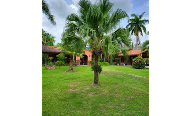 Se vende casa con plantación, Nueva Gorgona, Chame