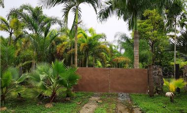 Se vende casa con plantación, Nueva Gorgona, Chame