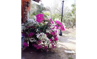 Se vende casa con plantación, Nueva Gorgona, Chame