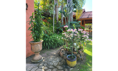 Se vende casa con plantación, Nueva Gorgona, Chame