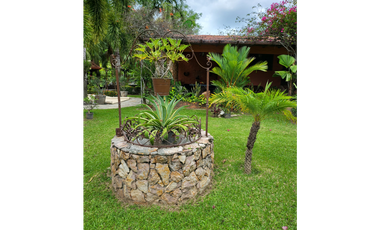 Se vende casa con plantación, Nueva Gorgona, Chame