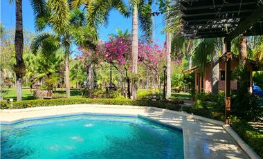 Se vende casa con plantación, Nueva Gorgona, Chame