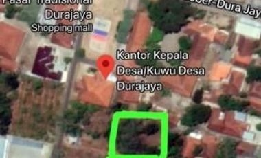 tanah perkebunan mangga gincu durajaya cirebon
