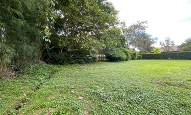 375 Sq. Wah Plot of Land With a Beautiful View in a Luxury Project - Next to Four Seasons Resort -, Mae Rim Zone, Chiang Mai