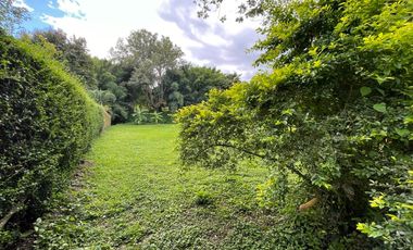 375 Sq. Wah Plot of Land With a Beautiful View in a Luxury Project - Next to Four Seasons Resort -, Mae Rim Zone, Chiang Mai