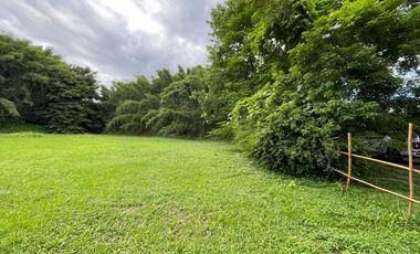 375 Sq. Wah Plot of Land With a Beautiful View in a Luxury Project - Next to Four Seasons Resort -, Mae Rim Zone, Chiang Mai