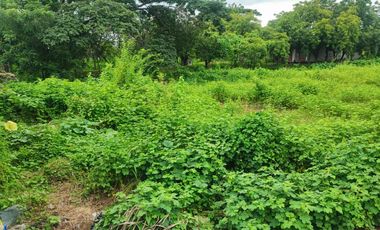 Terreno de venta en Buijo Histórico