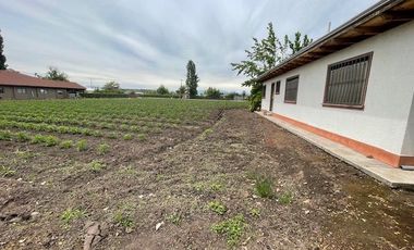 VENDE HERMOSA CASA RAUCO (CURICO)