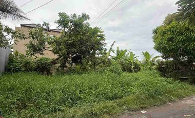 Tanah di Munggu dekat Pantai Seseh dan ke Canggu Bali