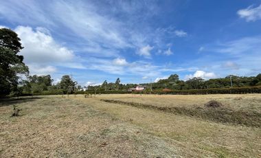 Lote en Venta - San Miguel de los pinos