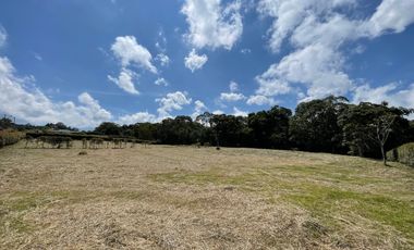 Lote en Venta - San Miguel de los pinos