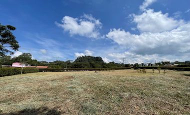 Lote en Venta - San Miguel de los pinos