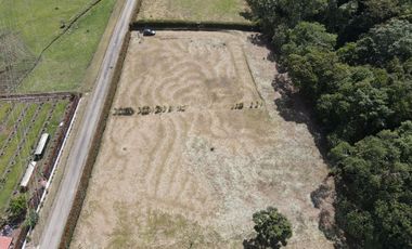 Lote en Venta - San Miguel de los pinos