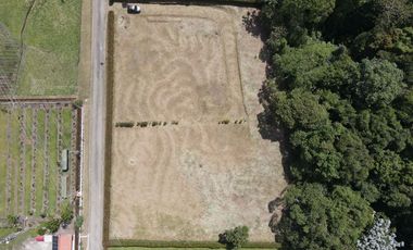 Lote en Venta - San Miguel de los pinos