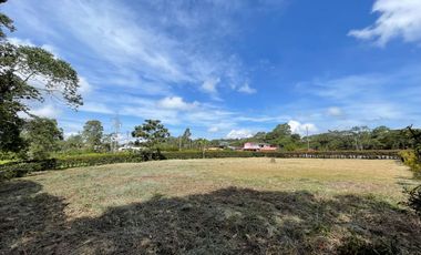 Lote en Venta - San Miguel de los pinos