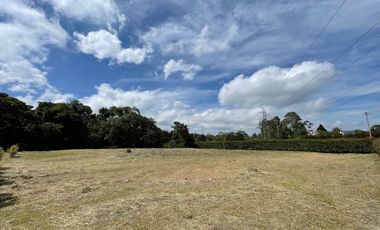 Lote en Venta - San Miguel de los pinos