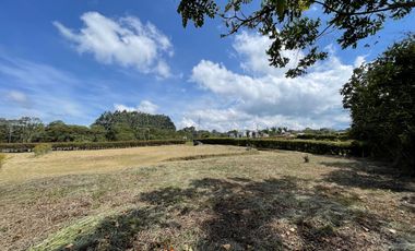 Lote en Venta - San Miguel de los pinos