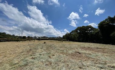 Lote en Venta - San Miguel de los pinos